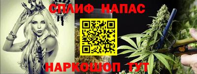 шишки Балаково